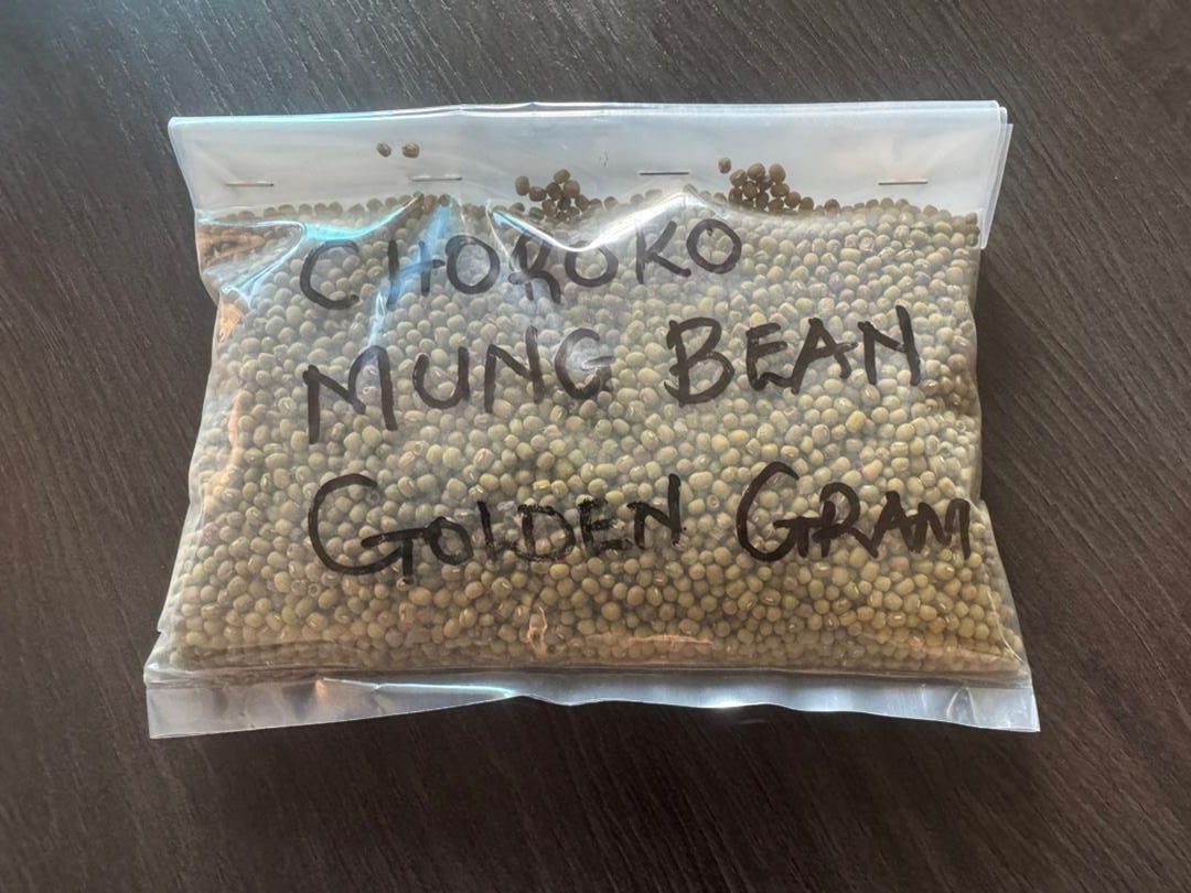 Chokuko Mung Bean